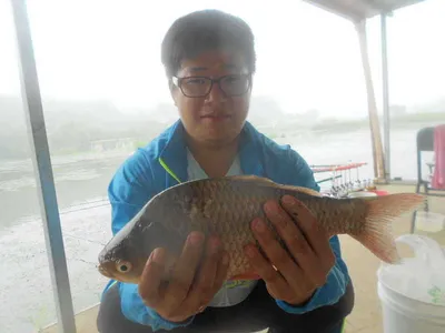 [당진 가교리지 주중 조황화보..]