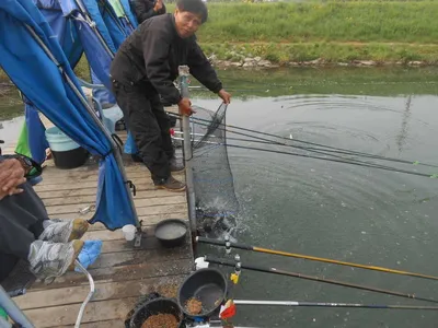 ^^조황소식&수상좌대이벤트^^