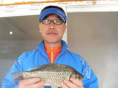 [당진 가교리지] 토종 대물 조황화보..