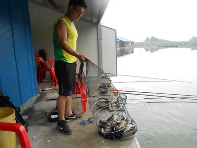 *****실시간 조황올립니다*****