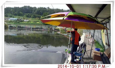 충남 아산 월선낚시터 10월 1일자 조황정보