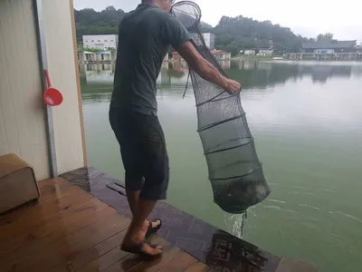 [경기도 안성] 거청낚시터 붕어조황  8월  23일