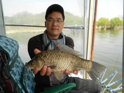 당진"가교리지"매일4짜들