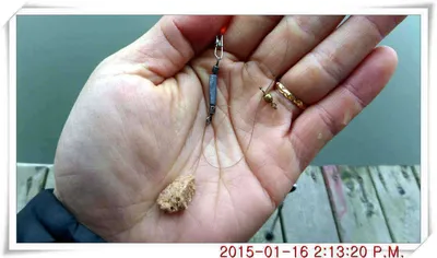 충남 아산 월선낚시터 1월 17일날 스케치