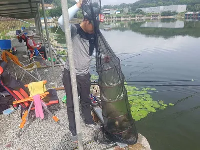 만수위의  거청낚시터 가족낚시터 붕어조황  7월  05
