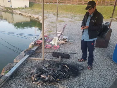 수위변동  없는  낚시터  5월  08일  붕어조황