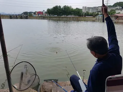 만수위의  거청낚시터 가족낚시터 붕어조황  6월  07