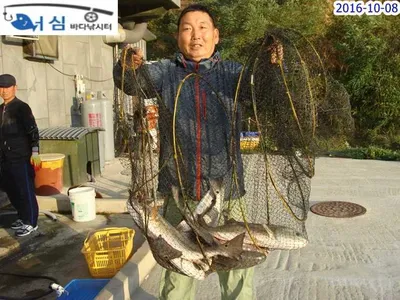 10월 8일 어심바다낚시터 조황사진