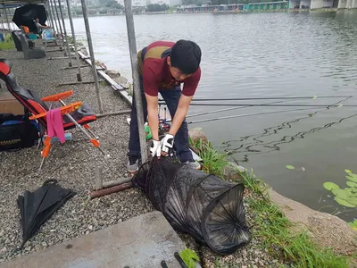 안성  거청낚시터  붕어조황  7월  11  일