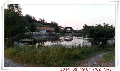 충남 아산 월선낚시터 9월 19일자 조황정보