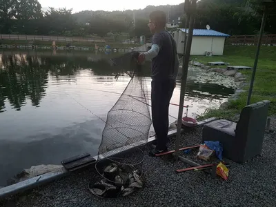 [경기도 안성] 거청낚시터 붕어조황  7월  26 일