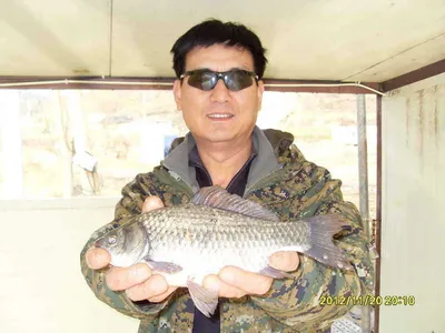 당진 "가교리지" 겨울 "물" 낚시 진행합니다..