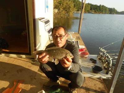 [당진 가교리지] 토종 붕어 조황정보...