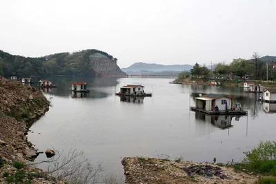 토종붕어터 예산 봉림지 4월 마지막 주말 조황입니다.