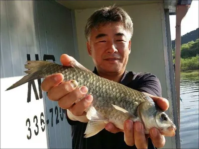 17.08.05 송전지 서울집 조황