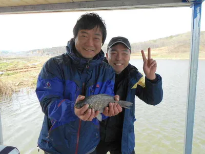딩진"가교리지" 붕어들의 봄날...