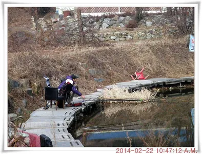 충남 아산 월선낚시터 2월 22일자 조황정보