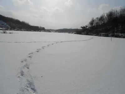 당진"가교리지"의 겨울 풍경과 얼음낚시 시작합니다.