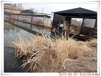 충남 아산 월선낚시터 2월 24일자 조황정보