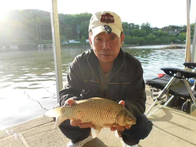 당진 "가교리지" 굵은 씨알에 붕어들...