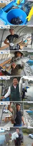 10월 17일 어심바다낚시터 노지 및 랍스타 조황사진