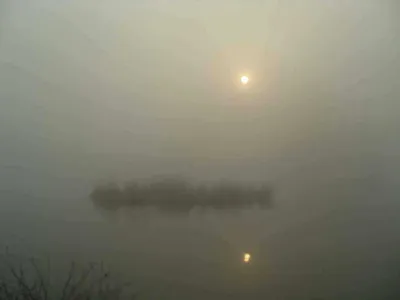 [당진 가교리지] 어자원 대량방류...