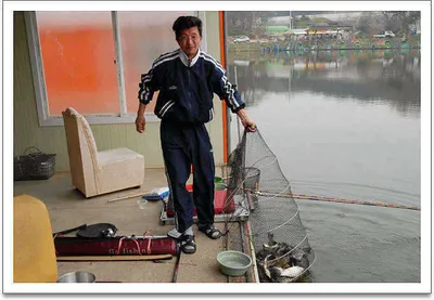 수상좌대 호조황, 상류권 향어출몰