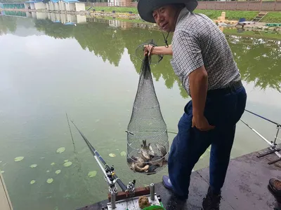 [경기도 안성] 거청낚시터 붕어조황  8월  26일