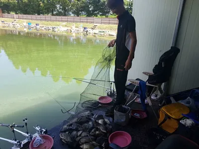 [경기도 안성] 거청낚시터 붕어조황  8월  13 일