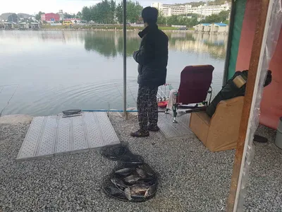 [경기도 안성] 거청낚시터 붕어조황  8월  27일