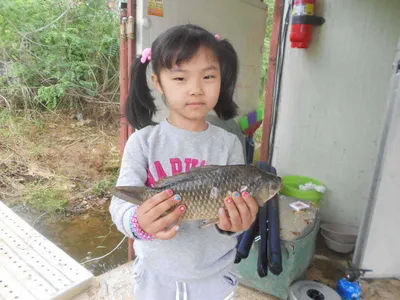 [당진 가교리지 주말 조황정보..]