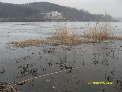 당진“가교리지” 봄낚시 준비