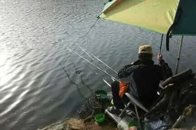 안성 죽산 장계지