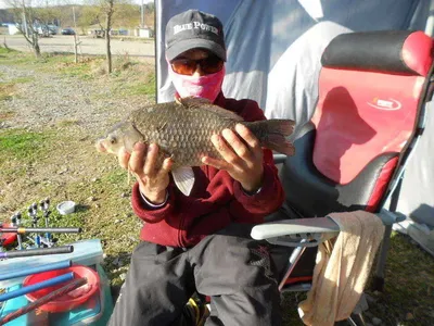 [당진 가교리지] 토종 대물 조황정보..