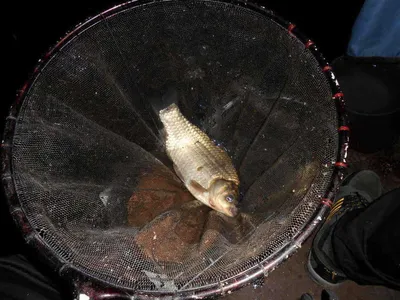 *****실시간 조황사진 올려봅니다*****