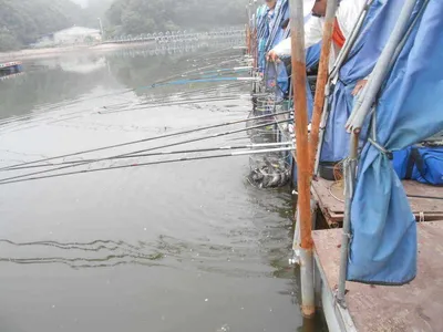 *****실시간 조황사진*****