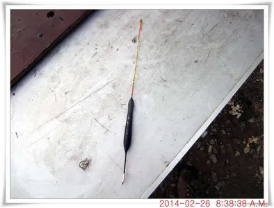 충남 아산 월선낚시터 2월 26일자 조황정보