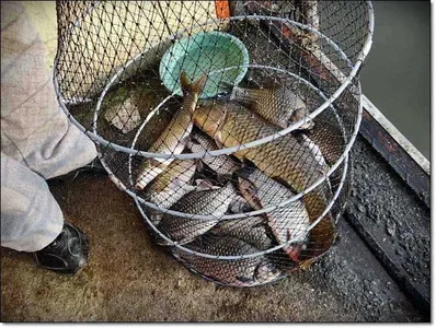 10월25일 각평낚시터 조황정보