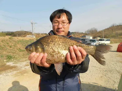 당진"가교리지" 갈수록 좋아지는 조황...