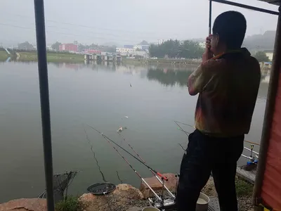 [경기도 안성] 거청낚시터 붕어조황  7월  25일