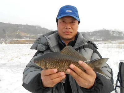 당진"가교리지" 얼음낚시 조황정보입니다.