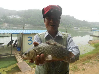 [당진 가교리지 주중 조황정보..]