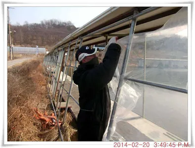 충남 아산 월선낚시터 12월 20일자 조황정보