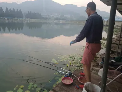 안성  거청낚시터  붕어조황  7월  21 일