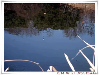 충남 아산 월선낚시터 2월 21일자 조황정보