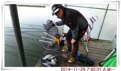 충남 아산 월선낚시터  11월 29일자 조황정보