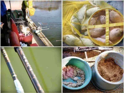 [각평지] 12월 13일 조황정보