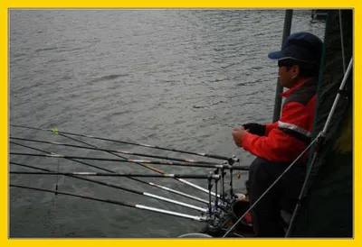 지속되는 조황속에....