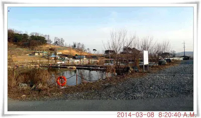 충남 아산 월선낚시터 3월 8일자 조황정보