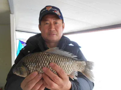 [당진 가교리지] 가을 낚시...